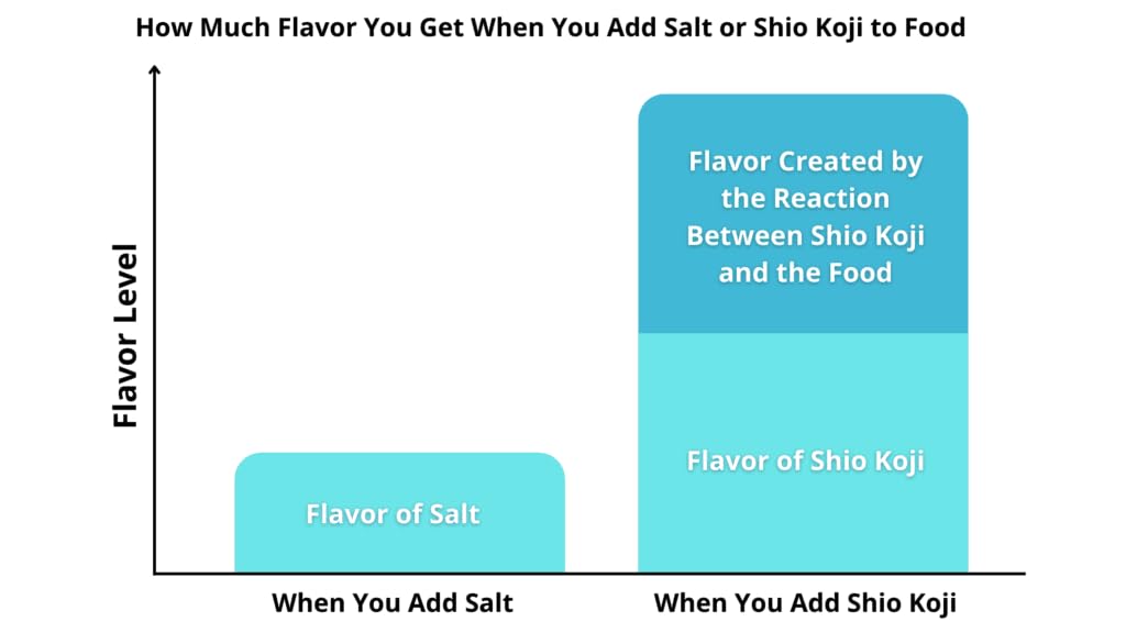 HeldenPilz BIO Shio Koji - 20 Rezepte für Huhn, Lachs, Gemüse und mehr