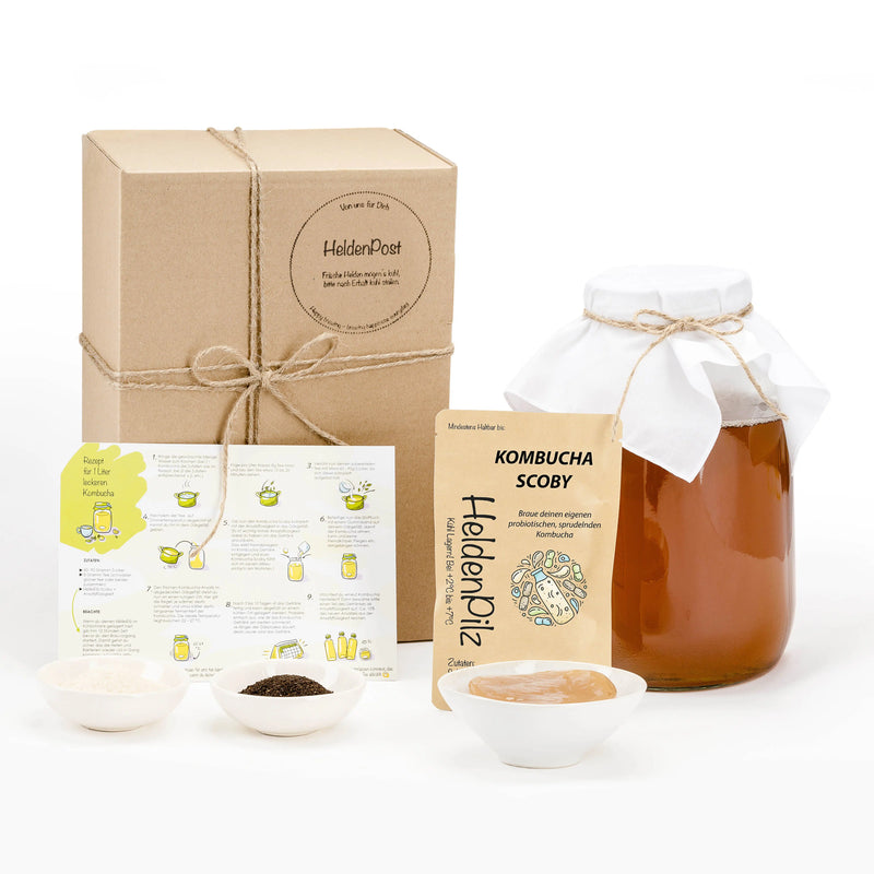 BIO Kombucha Starter-Set