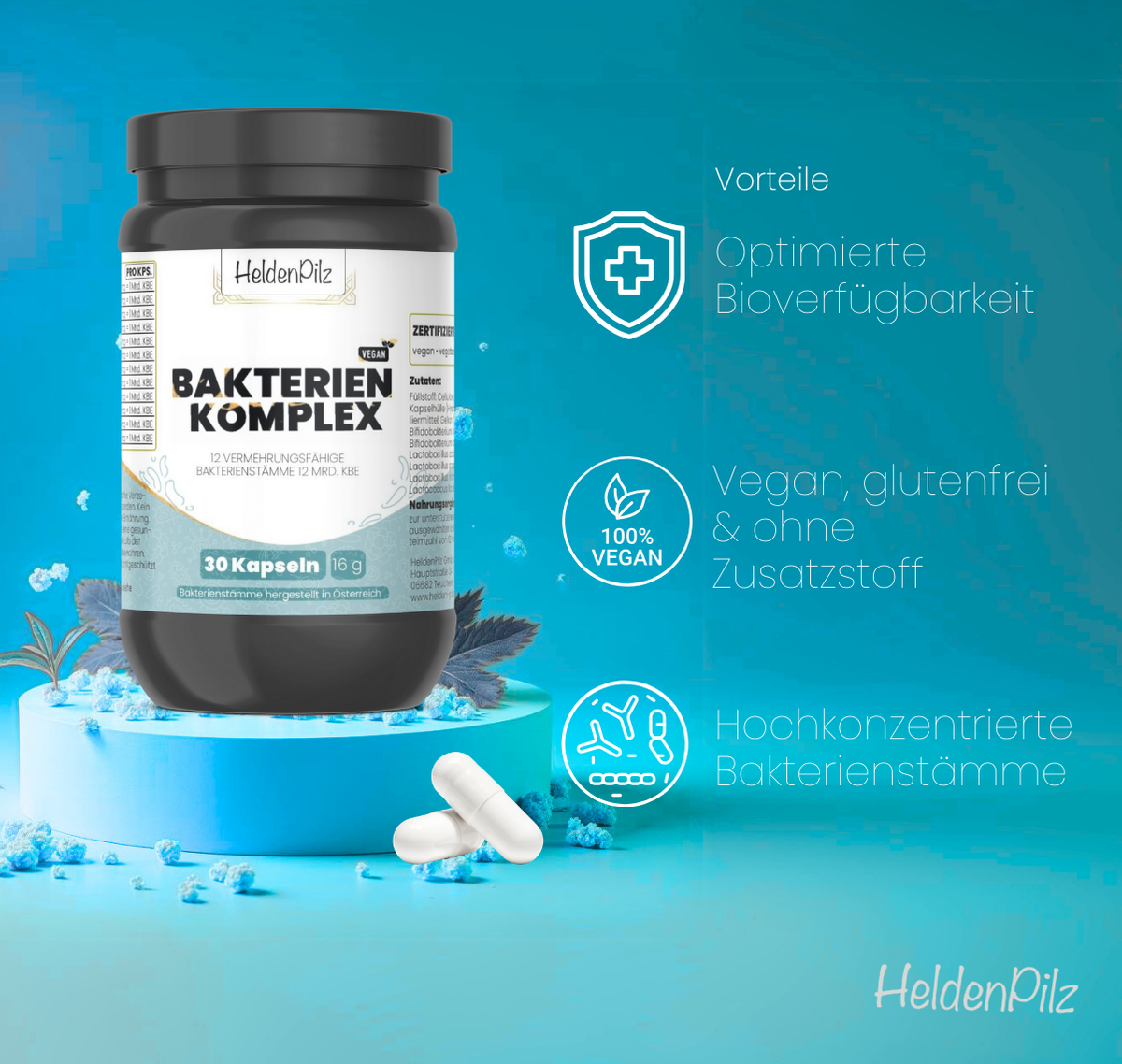 Bakterien-Komplex (12 Stämme)