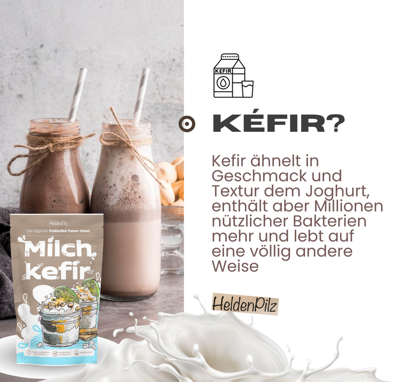 BIO Milchkefir Starterkultur