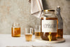 BIO Kombucha Scoby Nahaufnahme - Kombucha Teepilz von HeldenPilz