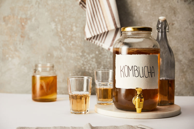 BIO Kombucha Starter-Set