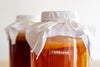 BIO Kombucha Starter-Set