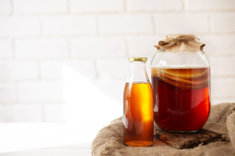 BIO Kombucha Starter-Set