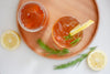 BIO Kombucha Starter-Set