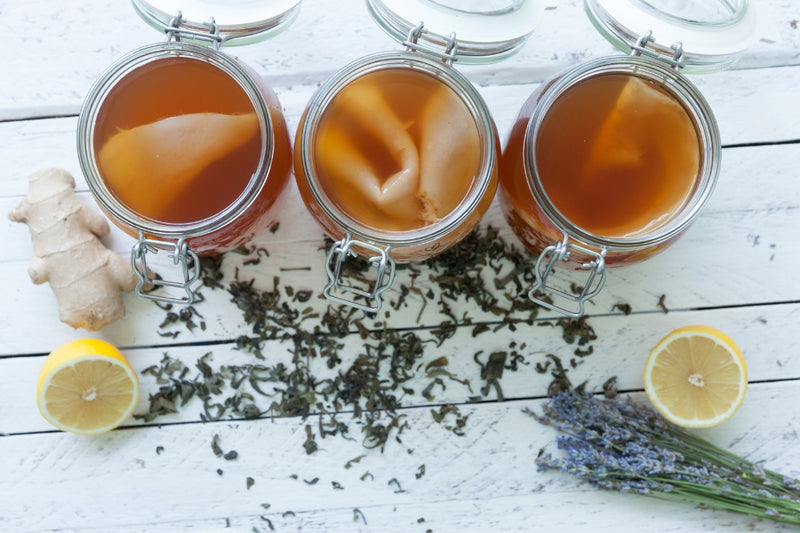 BIO Kombucha Starter-Set