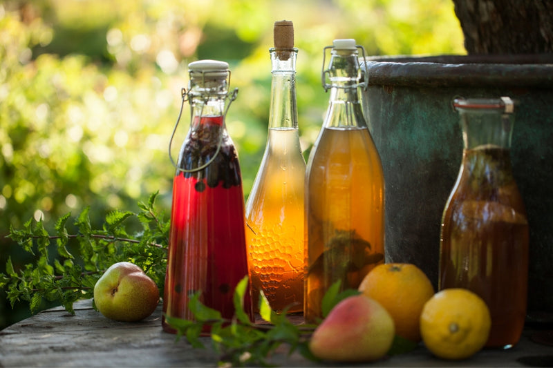 BIO Kombucha Starter-Set