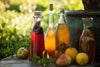 BIO Kombucha Scoby + Ansatzflüssigkeit