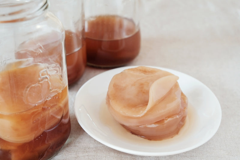 BIO Kombucha Starter-Set