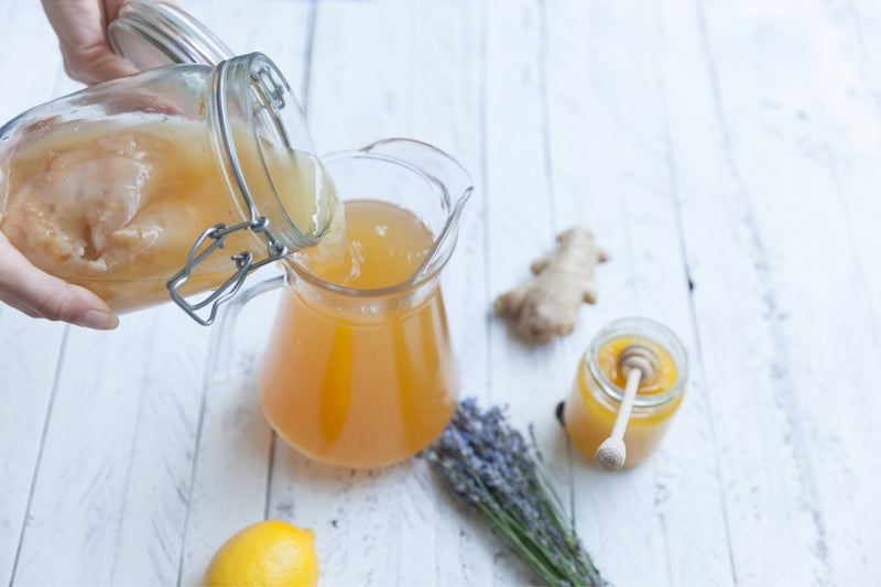 BIO Kombucha Starter-Set