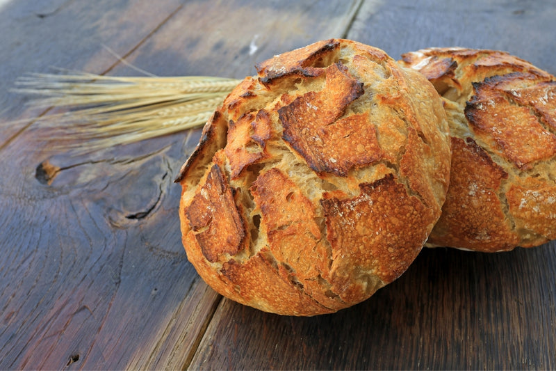 BIO Sauerteig Starter (150g)