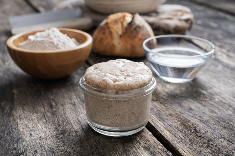 BIO Sauerteig Starter (150g)