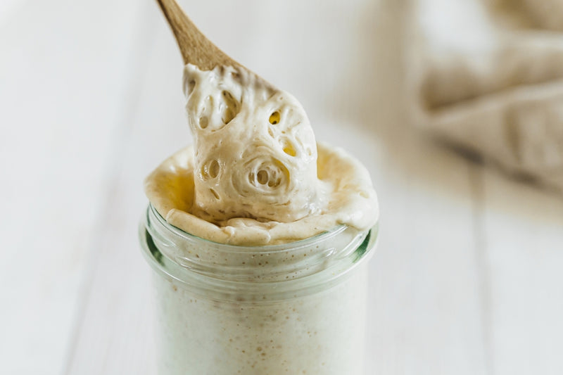BIO Sauerteig Starter (150g)