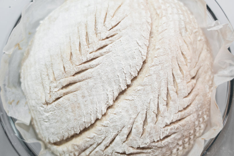 BIO Sauerteig Starter (150g)