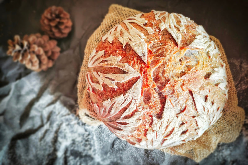 BIO Sauerteig Starter (150g)