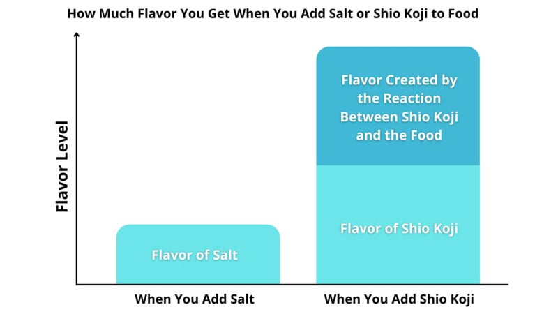 BIO Shio Koji Marinade