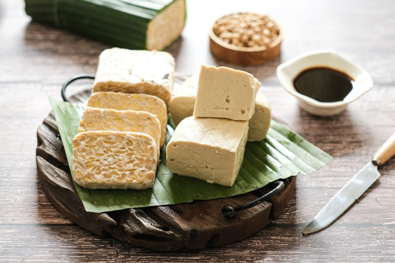 BIO Tempeh Starterkultur