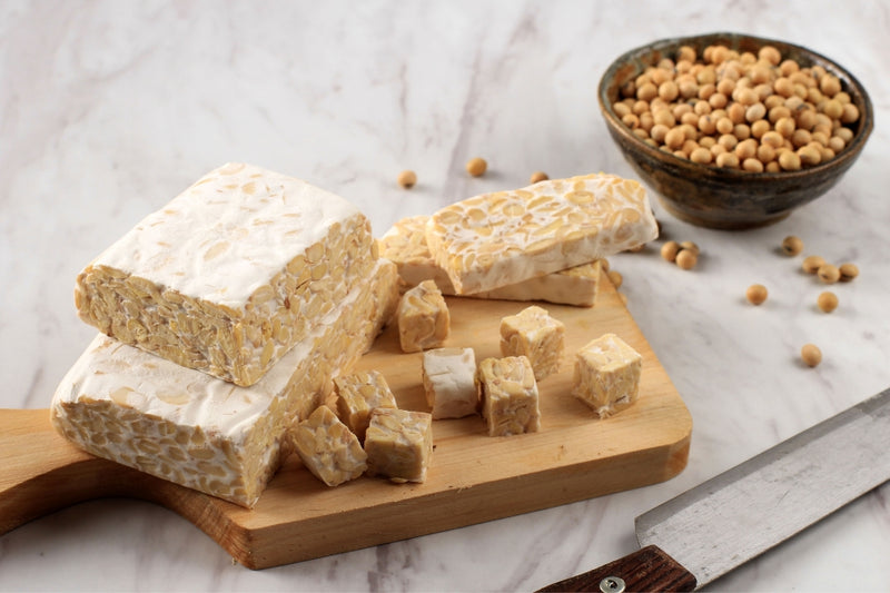 BIO Tempeh Starterkultur