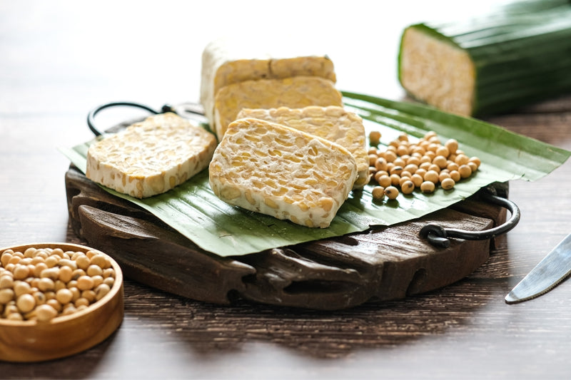 BIO Tempeh Komplett-Set