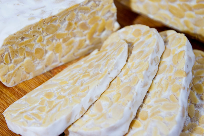 BIO Tempeh Starterkultur