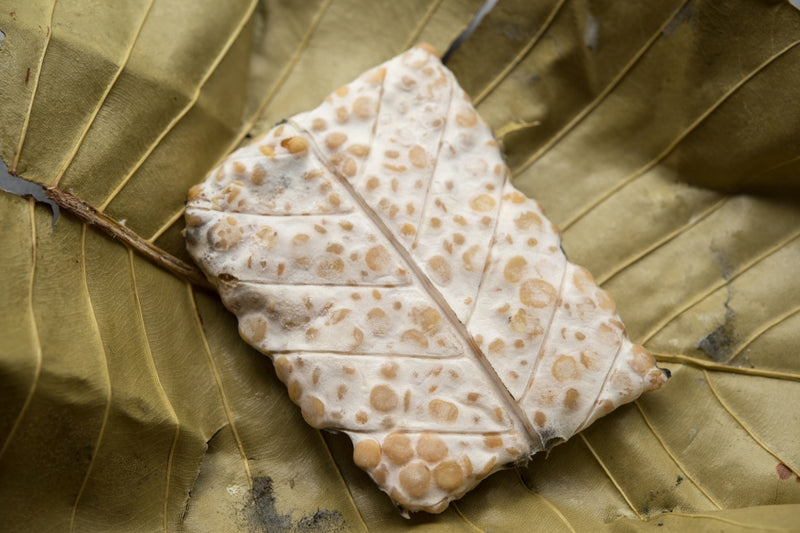 BIO Tempeh Komplett-Set
