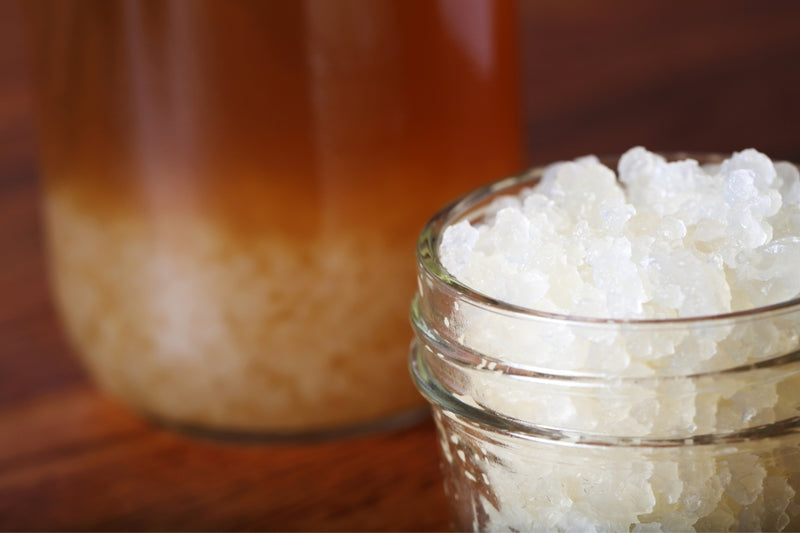 BIO Wasserkefir Kristalle (30g)